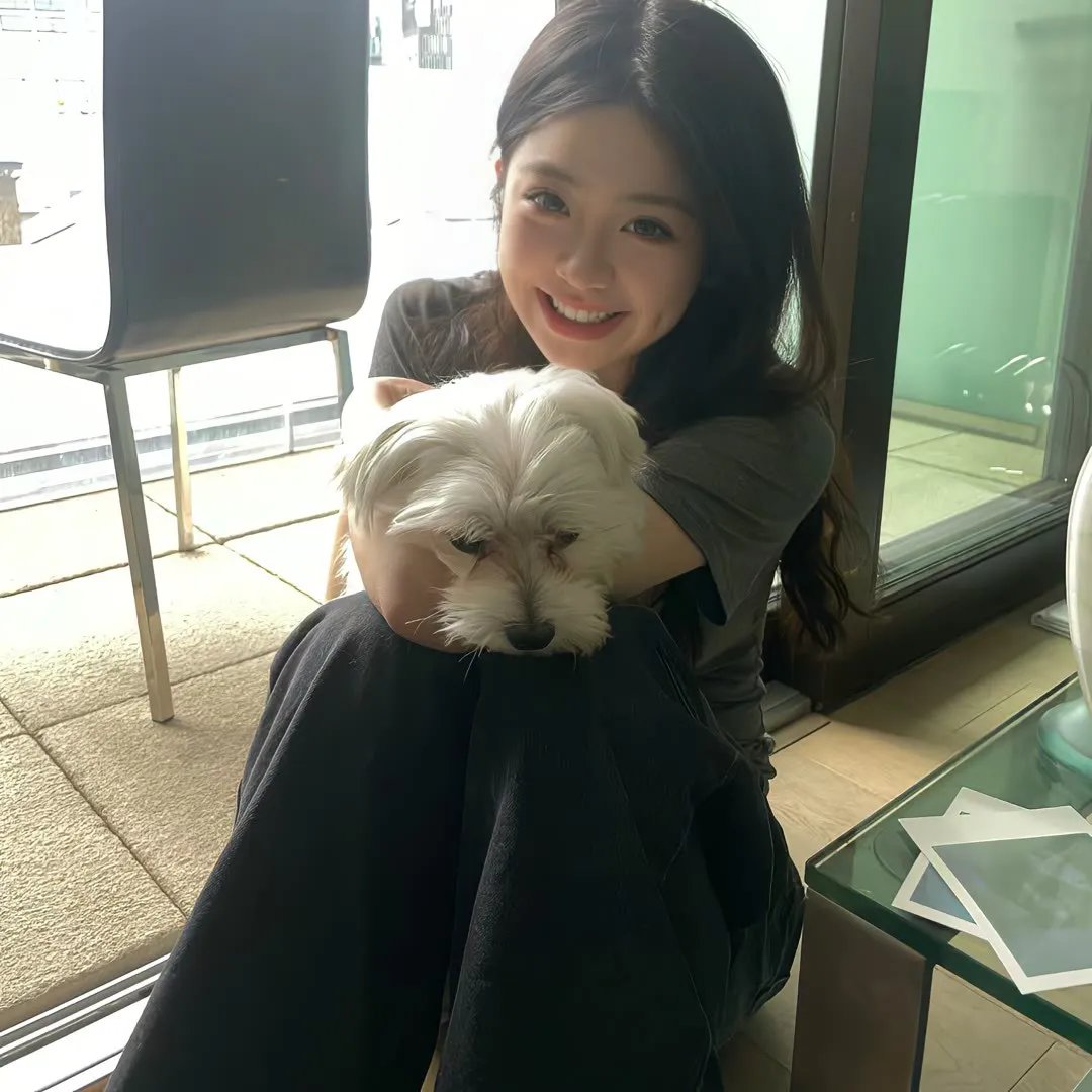 科搜研之女2022
