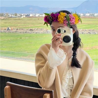 燕子盗